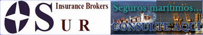 Sur Soluciones en seguros